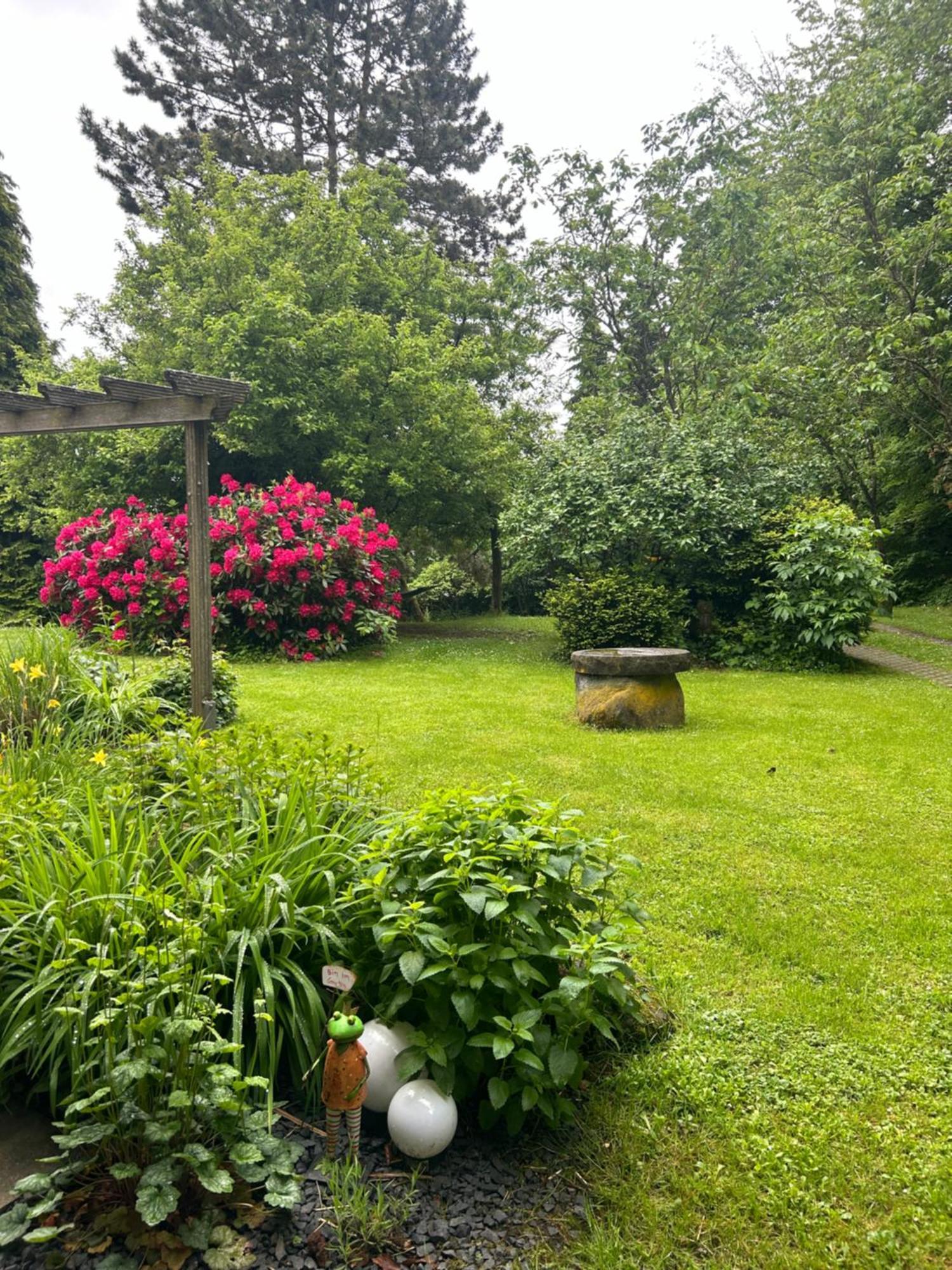 Ferienapartments Engeln Eifel Kempenich 外观 照片