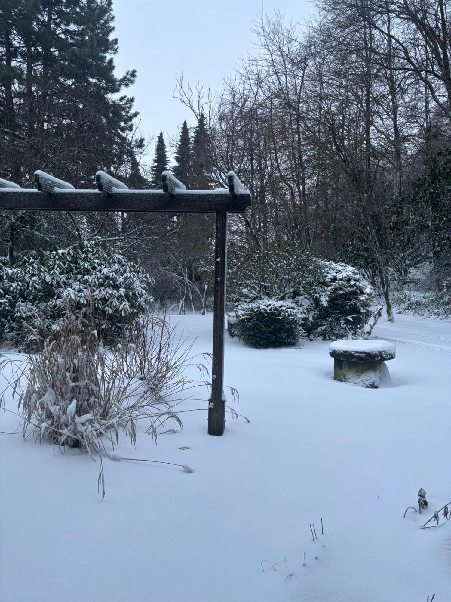 Ferienapartments Engeln Eifel Kempenich 外观 照片