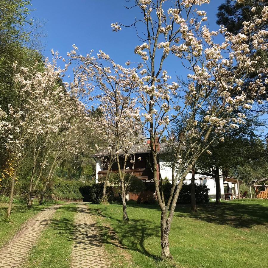 Ferienapartments Engeln Eifel Kempenich 外观 照片